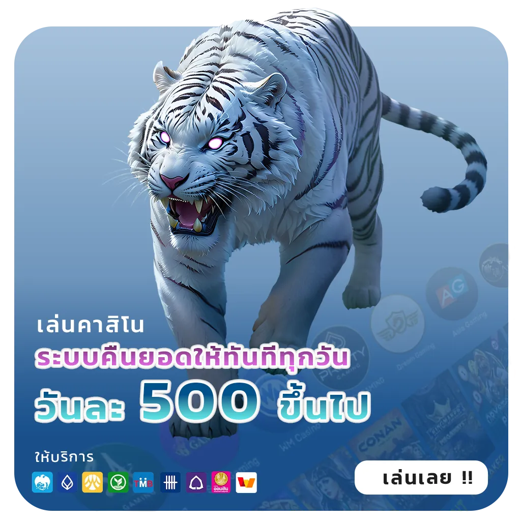 tkb neko